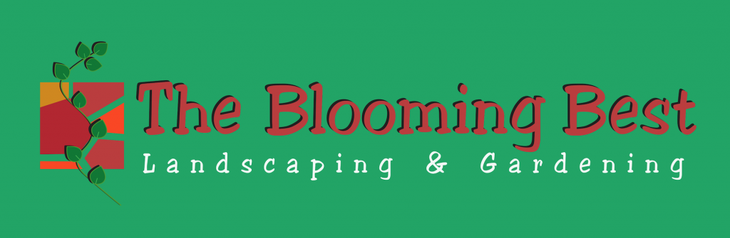 The Blooming Best